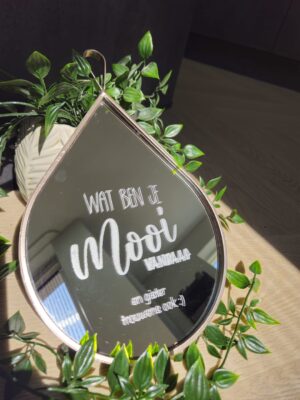 spiegel 'wat ben je mooi'